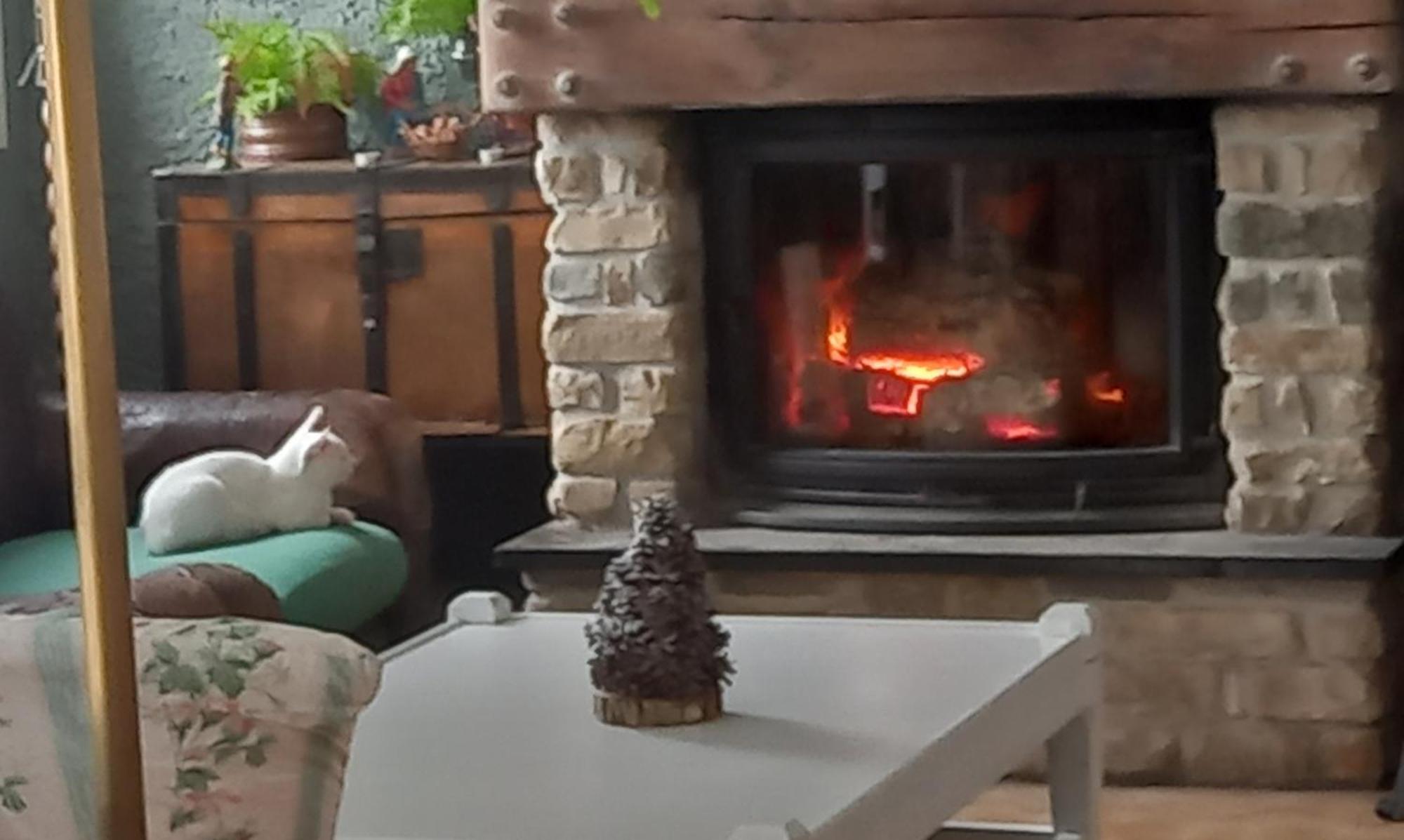 B&B Le Camelie Del Bosco Baiardo Extérieur photo