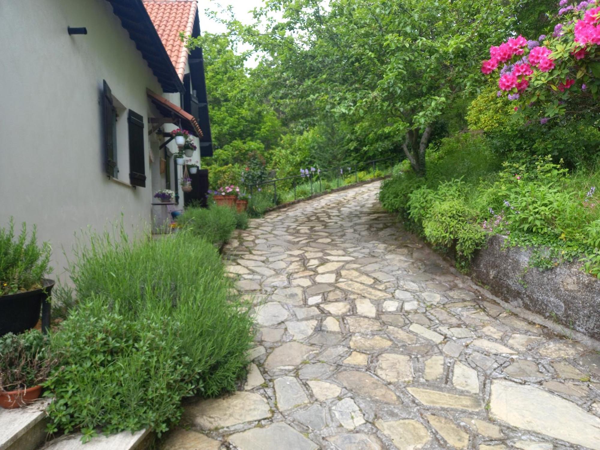 B&B Le Camelie Del Bosco Baiardo Extérieur photo