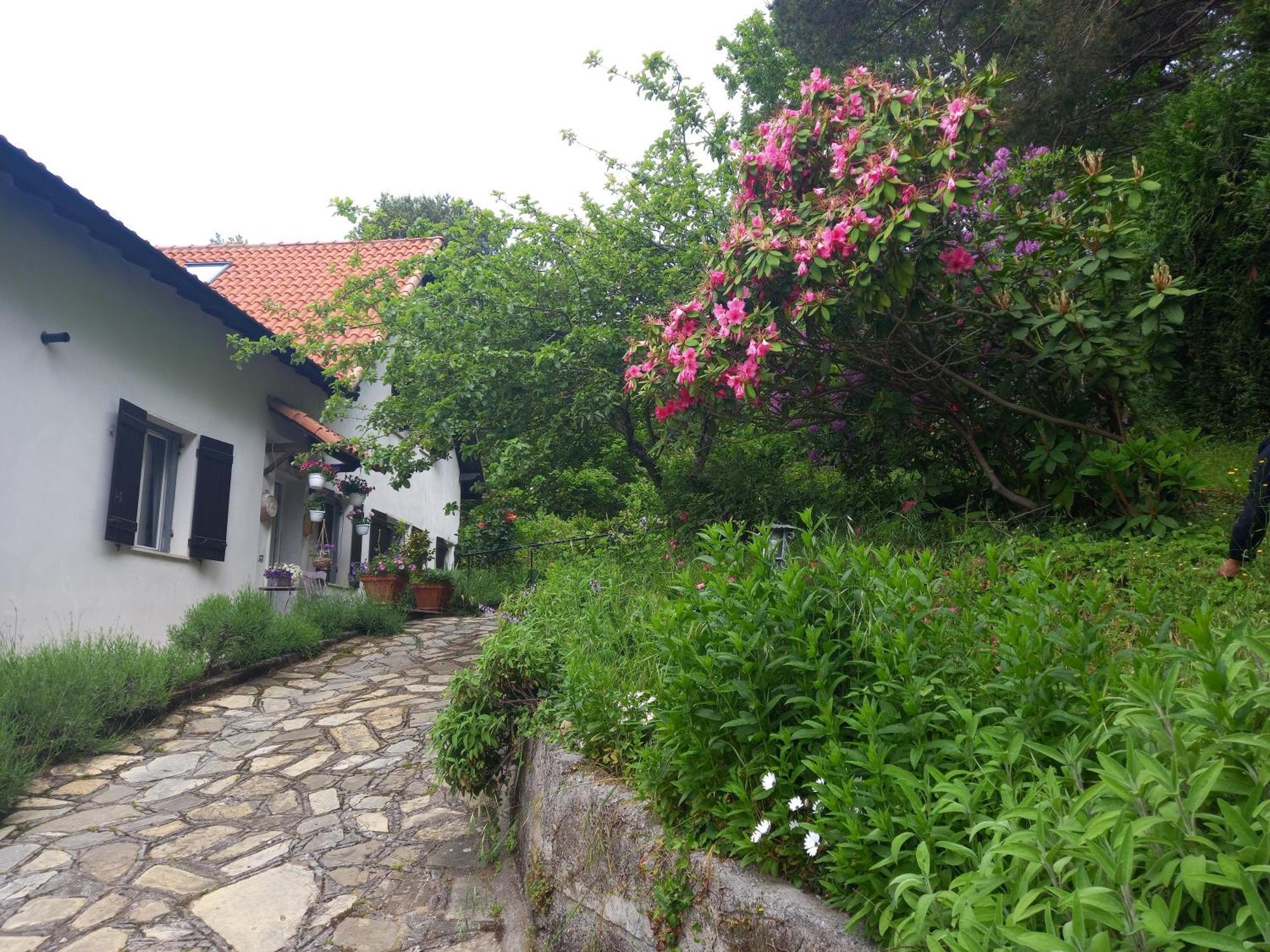 B&B Le Camelie Del Bosco Baiardo Extérieur photo