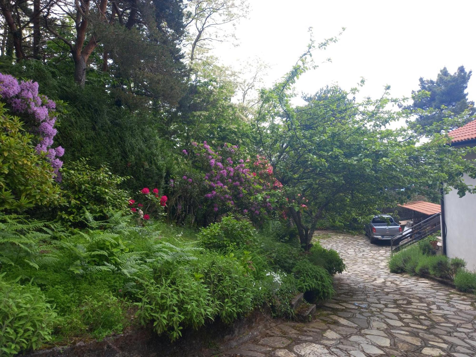 B&B Le Camelie Del Bosco Baiardo Extérieur photo